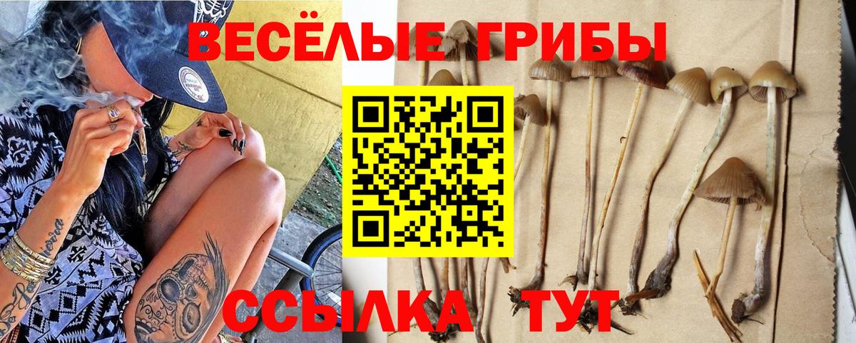 закладки  Галлюциногенные грибы мухоморы  Галлюциногенные грибы MAGIC MUSHROOMS  Вход с VPN  Геленджик 