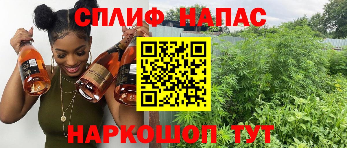 Бошки марихуана планчик  Каннабис план  Конопля VHQ  Геленджик  Вход с VPN  Конопля OG Kush 
